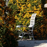 Satz von vier Gartenstühlen, Gebrüder Thonet, Österreich, 1. Drittel 20. Jarhundert